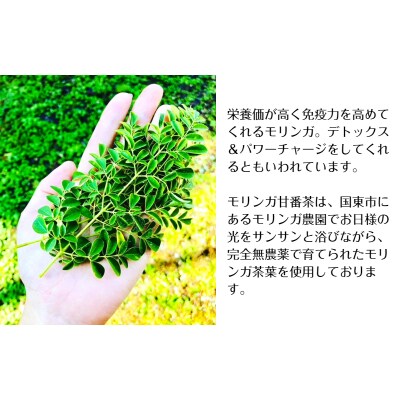 モリンガ甘番茶　1袋(10包入り)_1745R