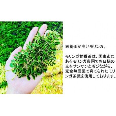 モリンガ甘番茶　1袋(10包入り)_1745R