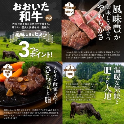 【黒毛和牛】 おおいた和牛 半生 ビーフジャーキー 200g (40g×5P) _2392R-1