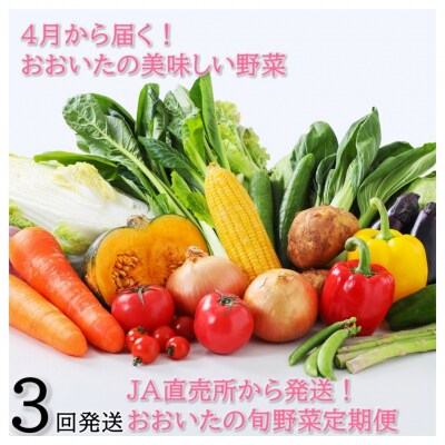 4月からお届け!おおいたの旬野菜定期便/計3回発送_2394R