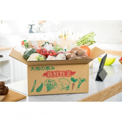 4月からお届け!おおいたの旬野菜定期便/計3回発送_2394R