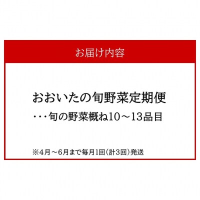 4月からお届け!おおいたの旬野菜定期便/計3回発送_2394R