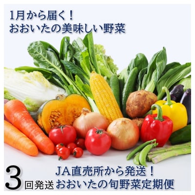 1月からお届け!おおいたの旬野菜定期便/計3回発送_2397R