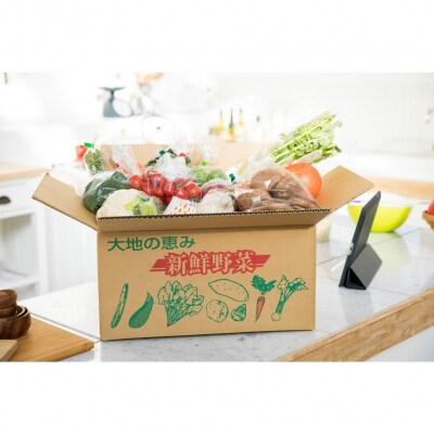 1月からお届け!おおいたの旬野菜定期便/計3回発送_2397R