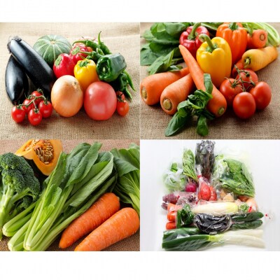 7月からお届け!おおいたの旬野菜定期便/計3回発送_2395R