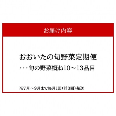 7月からお届け!おおいたの旬野菜定期便/計3回発送_2395R