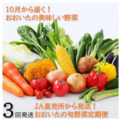 10月からお届け!おおいたの旬野菜定期便/計3回発送_2396R