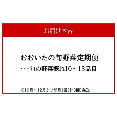 10月からお届け!おおいたの旬野菜定期便/計3回発送_2396R