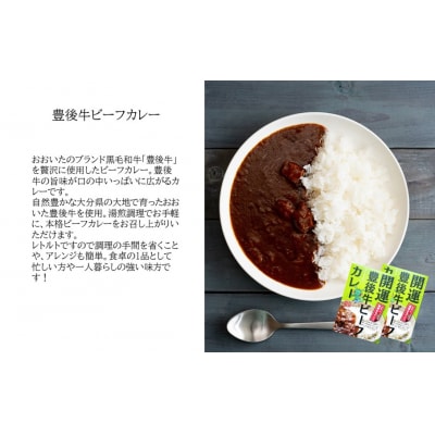 開運!豊後牛ビーフカレー2箱&バターチキンカレー2箱(計4箱)_2424R