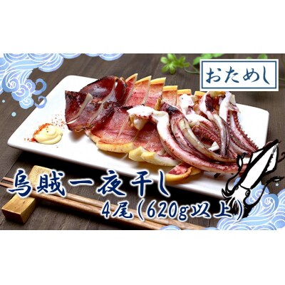 お試しサイズで一人暮らしにも!肉厚烏賊の一夜干し4尾(620g以上)_2433R