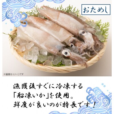お試しサイズで一人暮らしにも!肉厚烏賊の一夜干し4尾(620g以上)_2433R