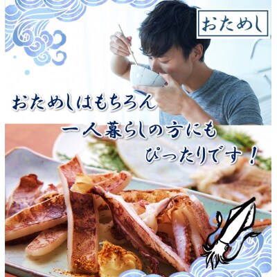 お試しサイズで一人暮らしにも!肉厚烏賊の一夜干し4尾(620g以上)_2433R