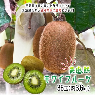 未追熟 キウイフルーツ 36玉(約3.6kg)_2302R