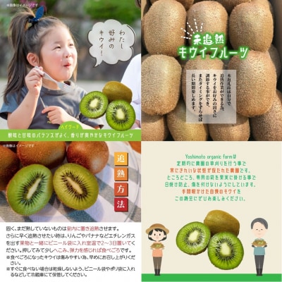 未追熟 キウイフルーツ 36玉(約3.6kg)_2302R