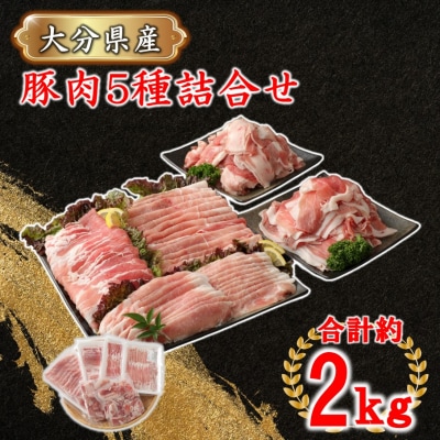 普段使いに便利なパック分け!大分県産豚肉5種詰合せ 合計約2kg_2445R