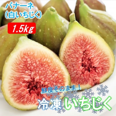 鮮度そのまま! 冷凍完熟いちじく / バナーネ(白いちじく)1.5kg_2287R