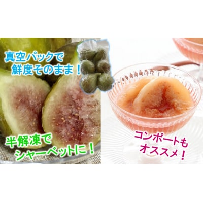 鮮度そのまま! 冷凍完熟いちじく / バナーネ(白いちじく)1.5kg_2287R