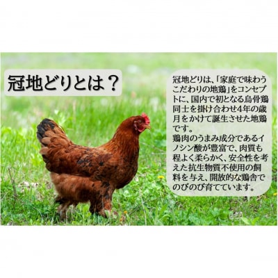 おおいた冠地どり岩塩焼きセット/計3パック_2456R