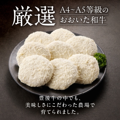 【贈答用】A4～A5等級おおいた和牛メンチカツ8個入り800g(100g×8個)_2422R