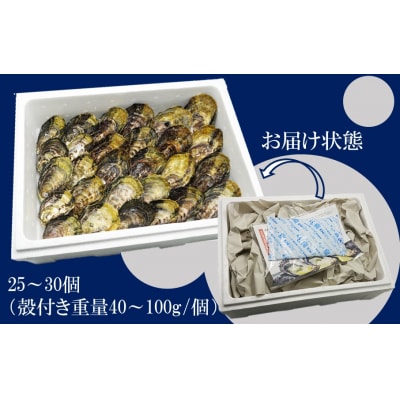 生食用殻付牡蠣「Ostra Kunisaki」25～30個(殻付重量40～100g/個)_2113R