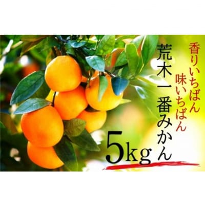 【先行受付・年明け配送】令和8年1月から出荷開始/荒木一番みかん約5kg _1271R-2