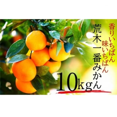 【先行受付・年明け配送】 令和8年1月から出荷開始 / 荒木一番みかん約10kg _1422R-2