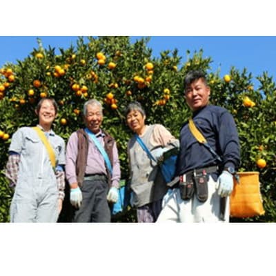 【先行受付・年明け配送】 令和8年1月から出荷開始 / 荒木一番みかん約10kg _1422R-2