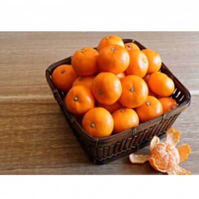 【先行受付・年明け配送】令和7年1月から出荷開始 / 荒木一番みかん約3kg_2305R-2