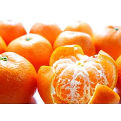 【先行受付・年明け配送】令和8年1月から出荷開始 / 荒木一番みかん約3kg_2305R-2