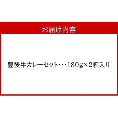 おおいた豊後牛カレー2箱セット_2454R