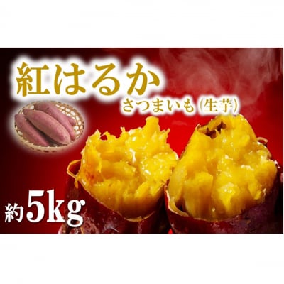 【令和6年12月中旬から発送】大分県産紅はるか(生芋)約5kg_1706R