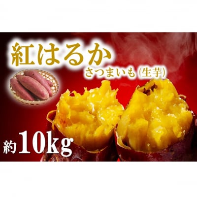 【令和6年12月中旬から発送】大分県産紅はるか(生芋)約10kg_1707R