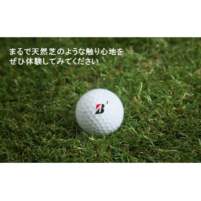 まるで天然芝のような触り心地!アイリスソーコー人工芝2m×10m_2478R
