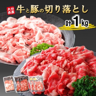 大分県産 牛・豚の切り落としセット(真空包装) 計1kg_2472R