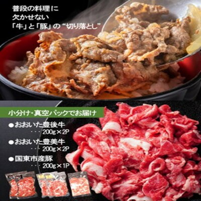 大分県産 牛・豚の切り落としセット(真空包装) 計1kg_2472R