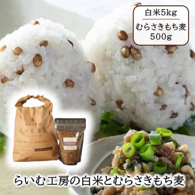 らいむ工房のむらさきもち麦500gと白米5kg_2506R