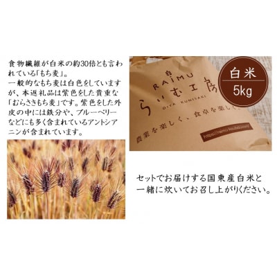 らいむ工房のむらさきもち麦500gと白米5kg_2506R