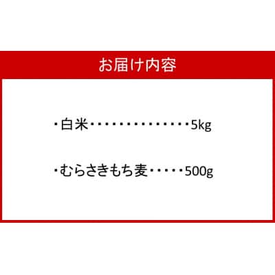 らいむ工房のむらさきもち麦500gと白米5kg_2506R