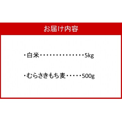らいむ工房のむらさきもち麦500gと白米5kg_2506R