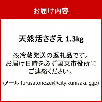 【冷蔵発送】漁師直送!天然活さざえ1.3kg_1067R