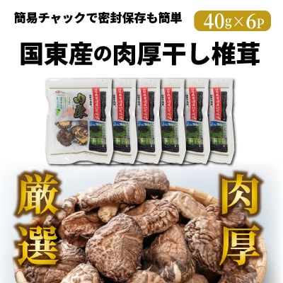 国東産の肉厚干し椎茸(冬菇 どんこ)40g×6袋(チャック付き)_29058A