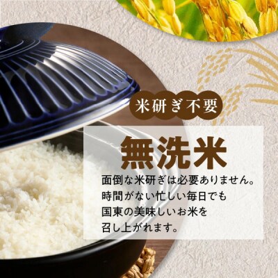 便利なチャック付き! 国東産ひとめぼれ 令和7年産 無洗米 5kg_2521R-1