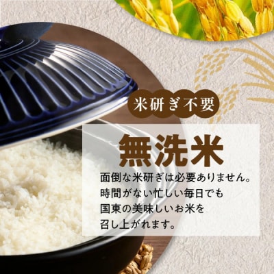便利なチャック付き! 国東産ひとめぼれ 令和7年産 無洗米 5kg_2521R-1
