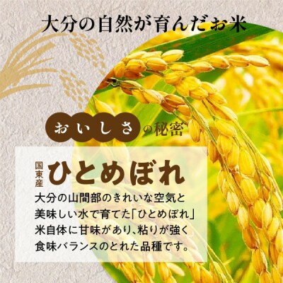便利なチャック付き! 国東産ひとめぼれ 令和7年産 無洗米 10kg(5kg×2袋)_2521R-2