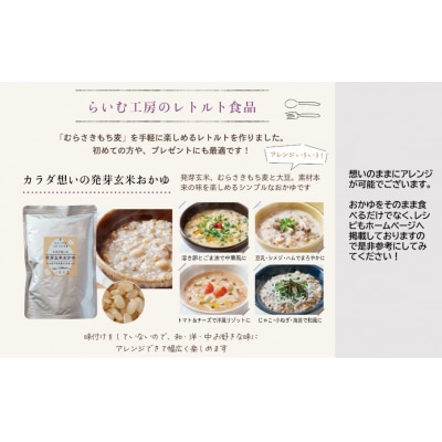からだ想いの発芽玄米おかゆ1パック(240g)_2505R