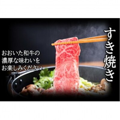 おおいた和牛 もも赤身うす切り 約300g(1パック)_2480R