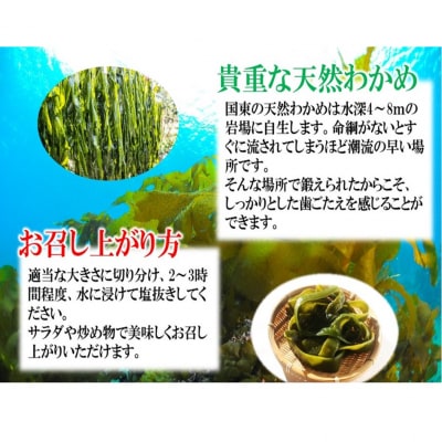 コリコリ食感がクセになる! 国東天然茎わかめ140g×7P(湯通し塩蔵980g)_2550R-1