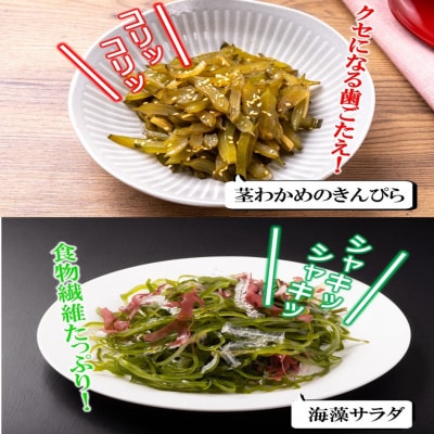 国東天然茎わかめ280g×6P+140g×2P(湯通し塩蔵 1,960g)_2550R-2