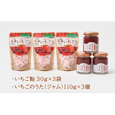 はっとりさんちのいちご飴Aセット_2525R