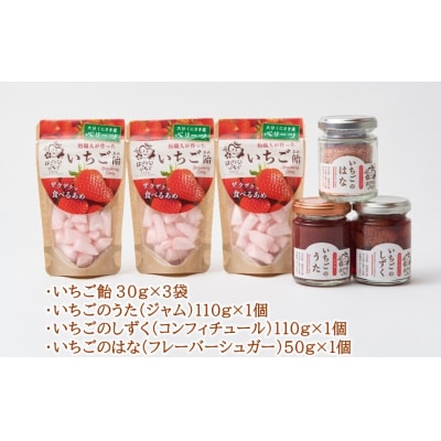 はっとりさんちのいちご飴Bセット_2526R